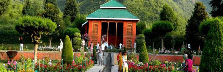 Best Travel Agency in Katra