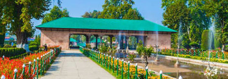 Best Travel Agency in Katra